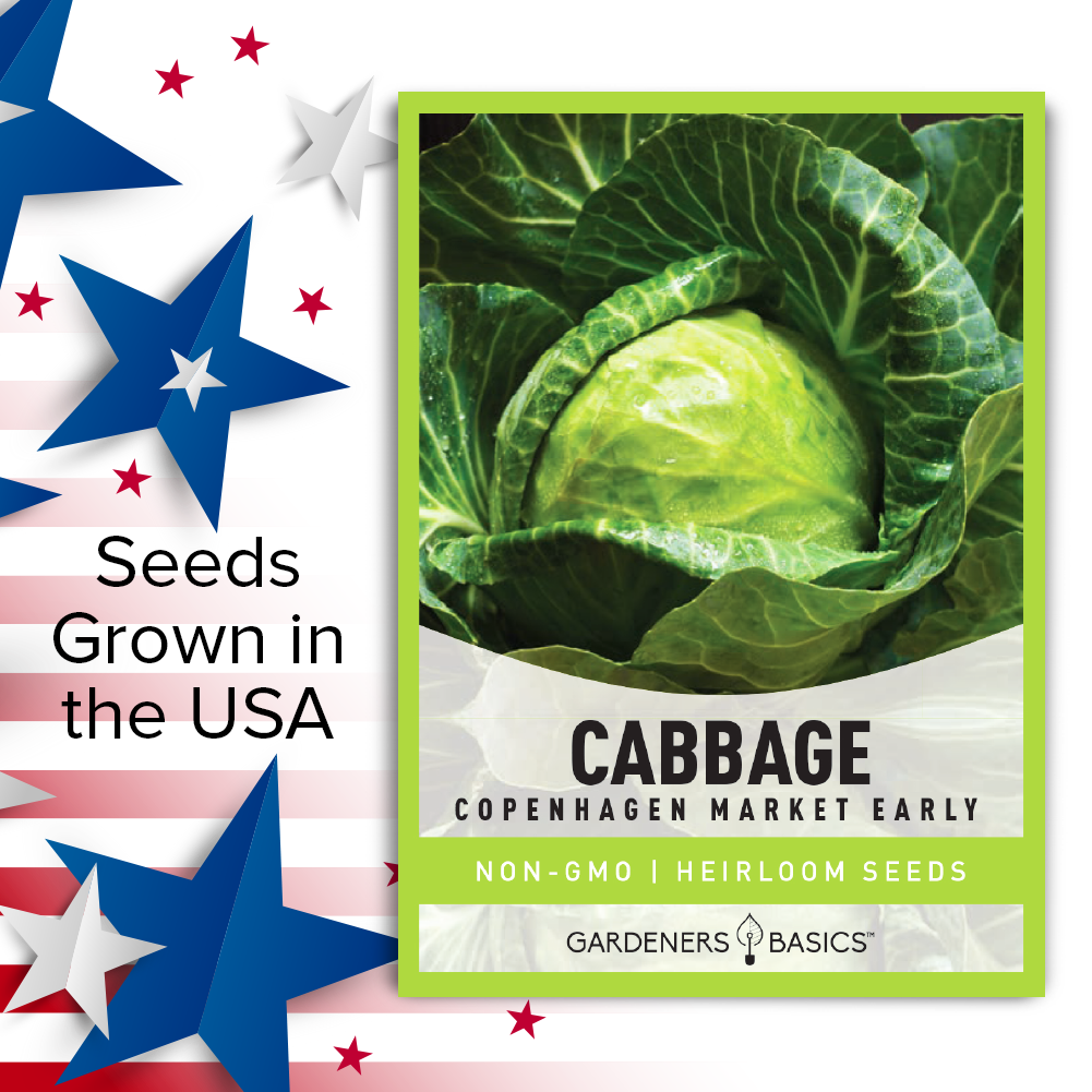 Cultivate a Bountiful Harvest with Early Copenhagen Market Cabbage Seeds