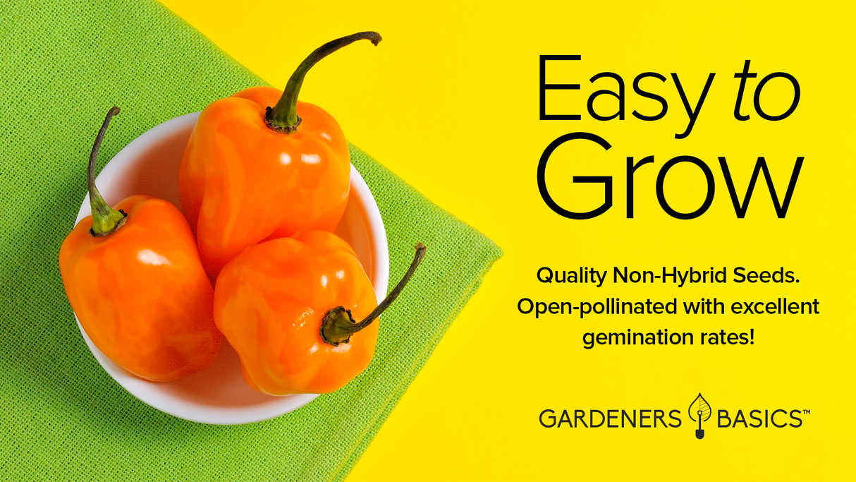 Orange Habanero Pepper Seeds For Planting Non-GMO Seeds For Home Vegetable Garden Easy To Grow