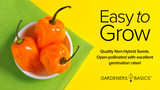 Orange Habanero Pepper Seeds For Planting Non-GMO Seeds For Home Vegetable Garden Easy To Grow