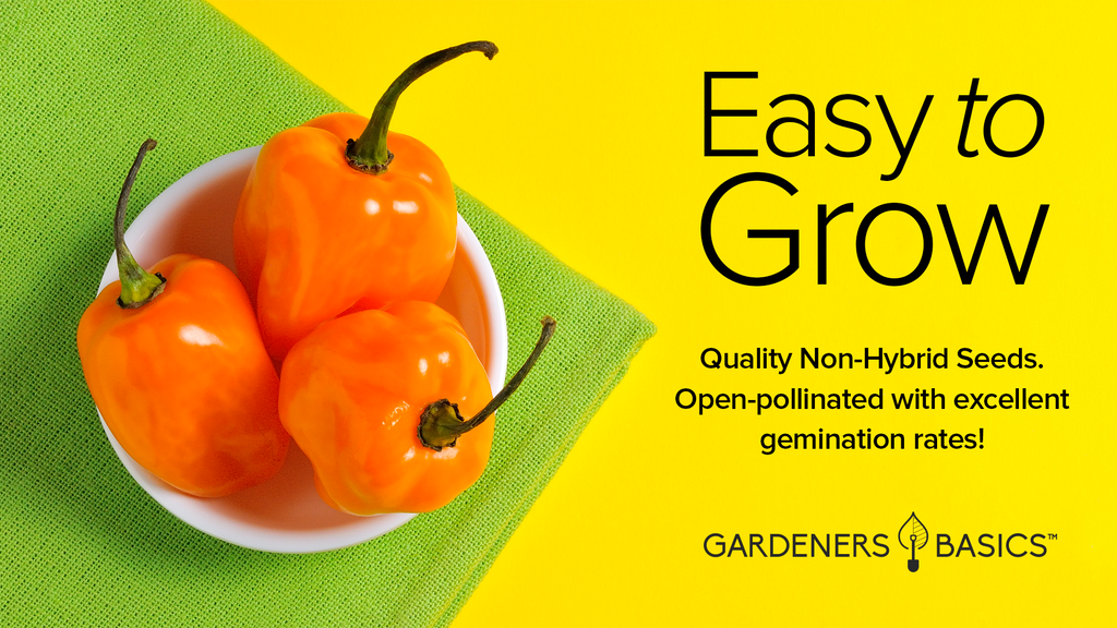 Orange Habanero Pepper Seeds For Planting Non-GMO Seeds For Home Vegetable Garden Easy To Grow