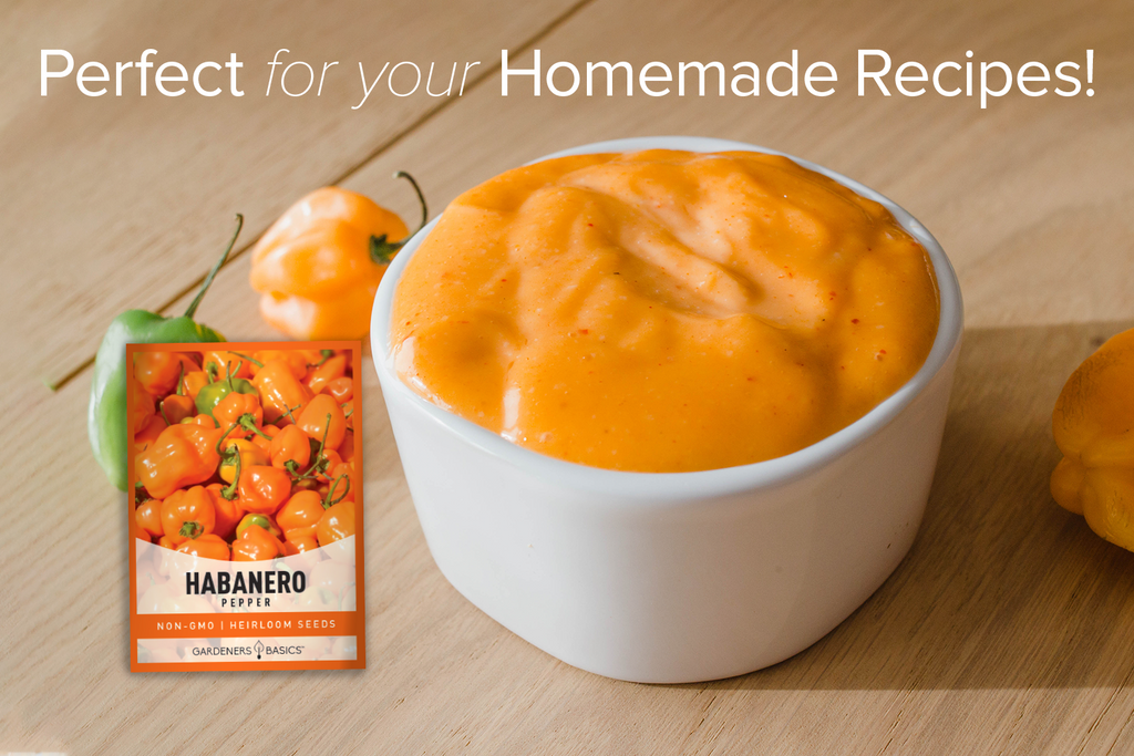 Orange Habanero Pepper Seeds For Planting Non-GMO Seeds For Home Vegetable Garden Homemade Recipes