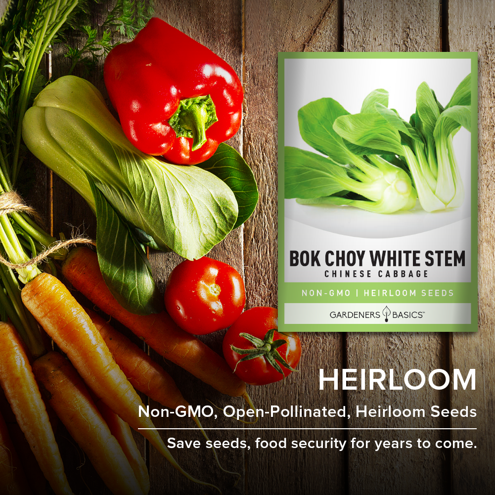 Bok Choy Seeds for Sale: Start Growing Your Own Nutrient-Rich Asian Greens