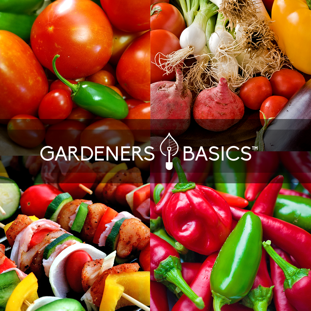 garden salsa seeds Hot Salsa Seed Assortment | 8 Variety Pack