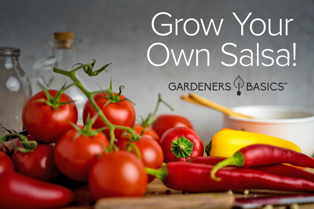 Hot Salsa Seeds Assortment Non-GMO Seeds For Planting Home Hot Salsa Garden Heirloom Seeds