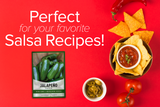 Jalapeno Pepper Seeds For Planting Non-GMO Seeds For Home Vegetable Garden Homemade Recipes