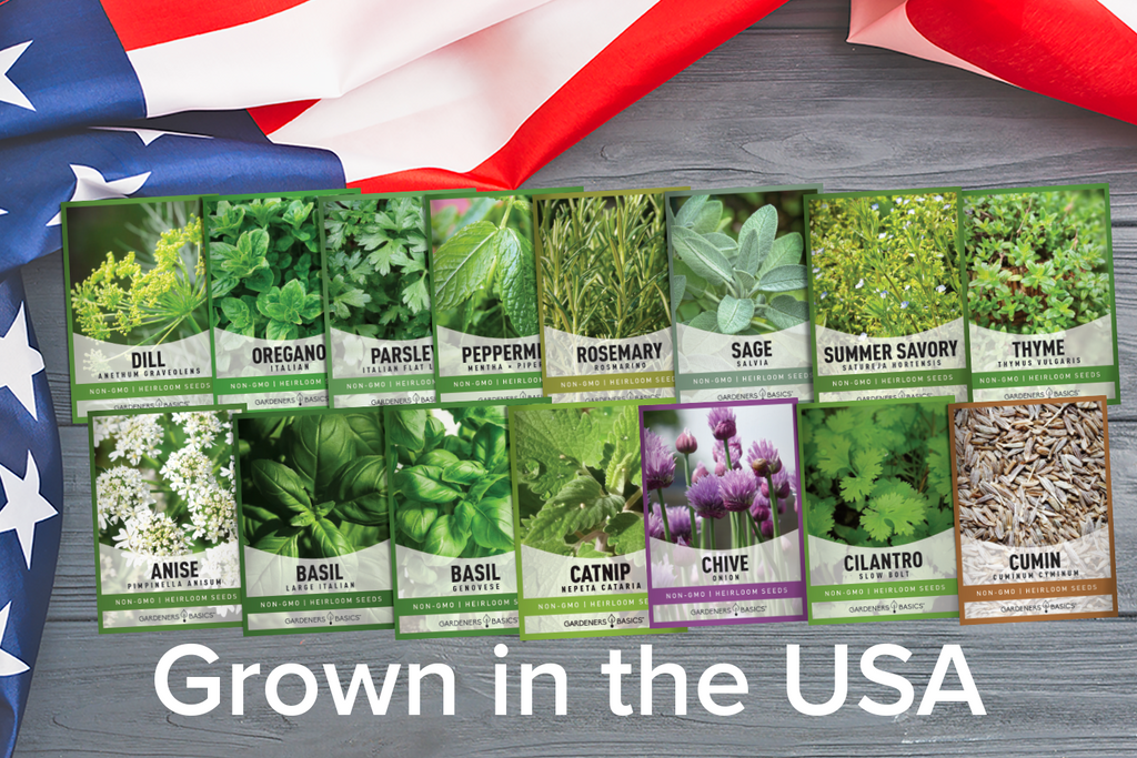 Herb Seeds Variety Pack Non-GMO Seeds For Home Herb Garden Indoor Herb Garden Heirloom Herb Seeds USA