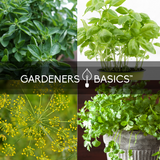 Herb Seeds Variety Pack Non-GMO Seeds For Home Herb Garden Indoor Herb Garden Heirloom Herb Seeds Plants