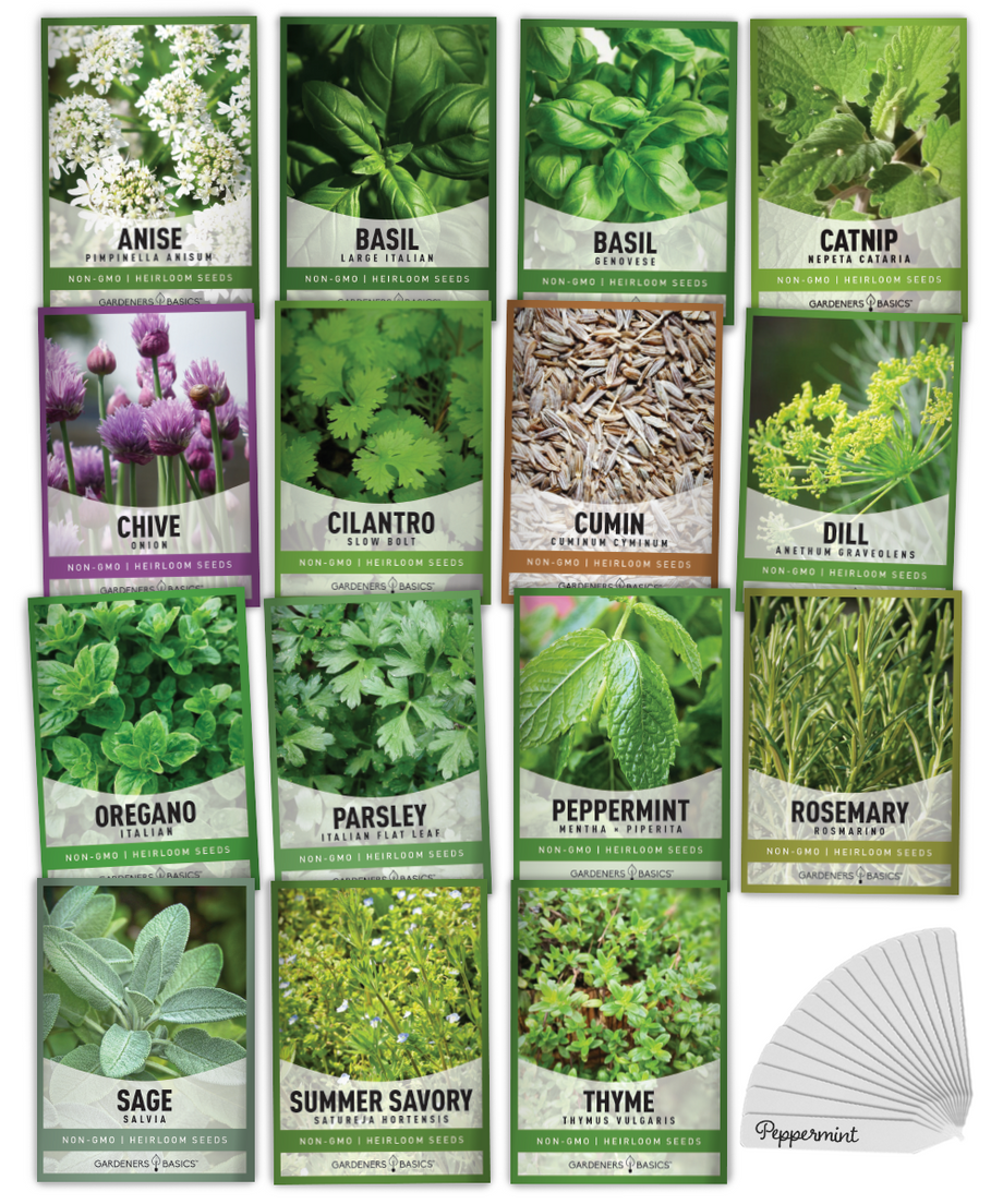 Herb Seed Assortment 15 Variety Pack Gardeners Basics