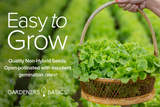 Lettuce and Greens Seeds Variety Pack Non-GMO Seeds For Home Vegetable Garden Easy To Grow