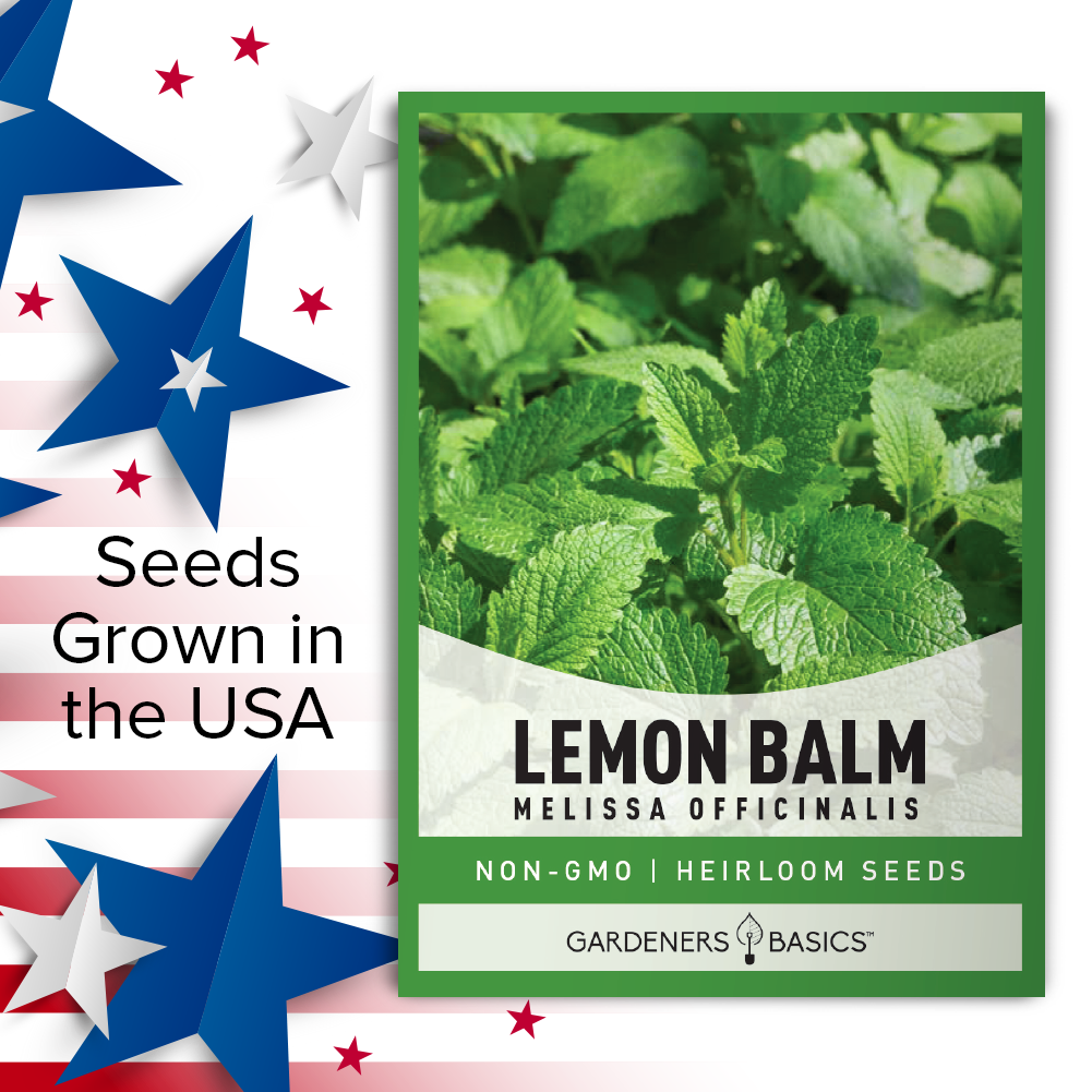 Lemon Balm Seeds for Planting: Enhance Your Garden with This Versatile Herb
