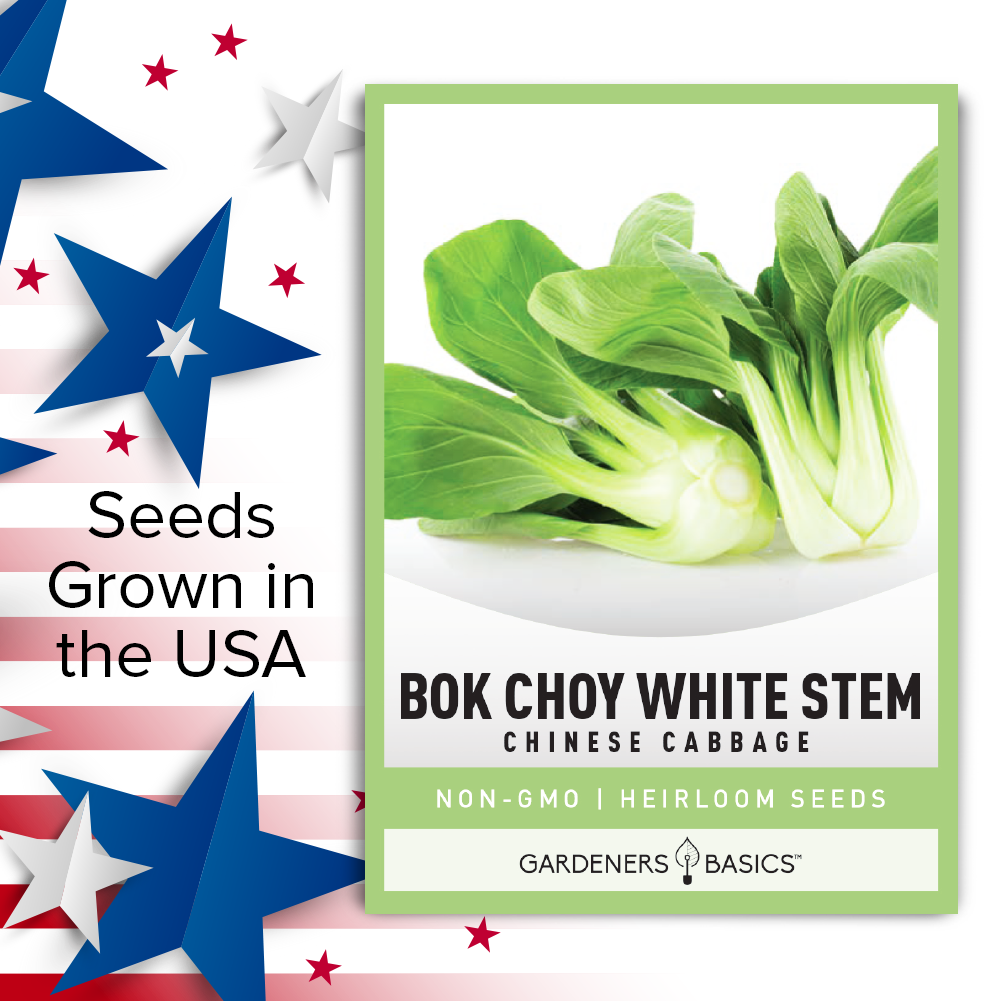 Brassica Rapa Chinensis Seeds: Your Source for Homegrown Bok Choy