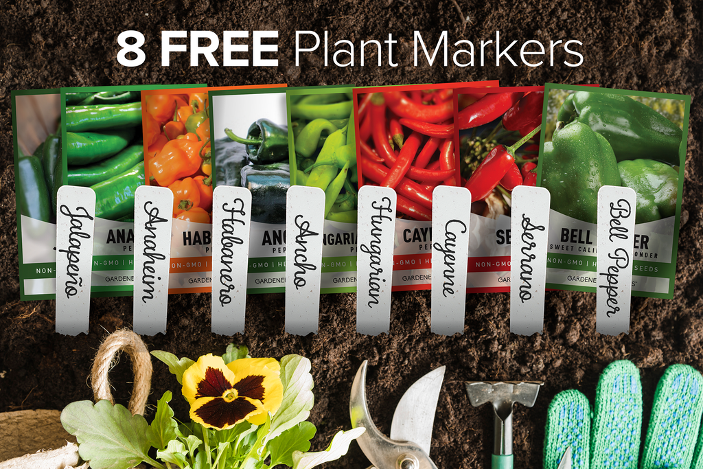 Culinary Herb Seeds Variety Kit Non-GMO Seeds For Planting Home Herb Garden Plant Markers