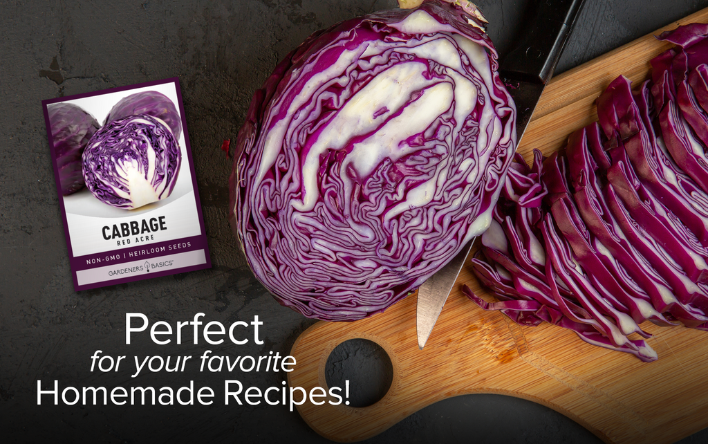 Fast-Growing Red Acre Cabbage Seeds - Harvest Delicious Cabbages in Just 75-80 Days
