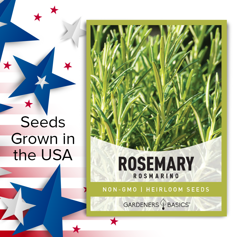 Grow Your Own Culinary Rosemary: High Germination Rate Seeds for Healthy Plants