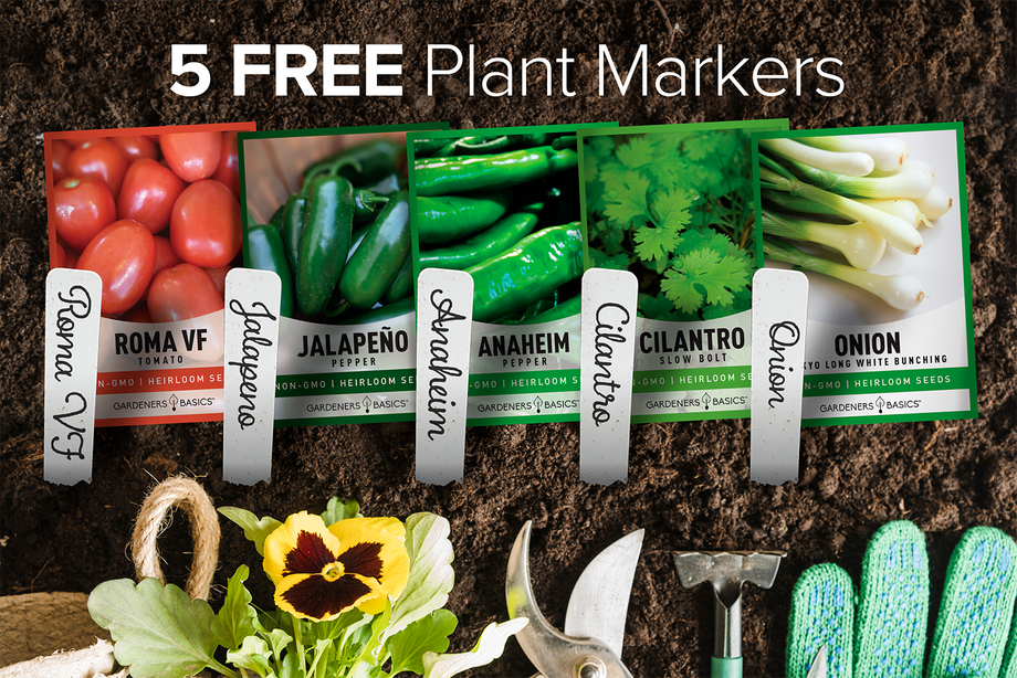 garden salsa seeds Salsa Garden Seed Assortment