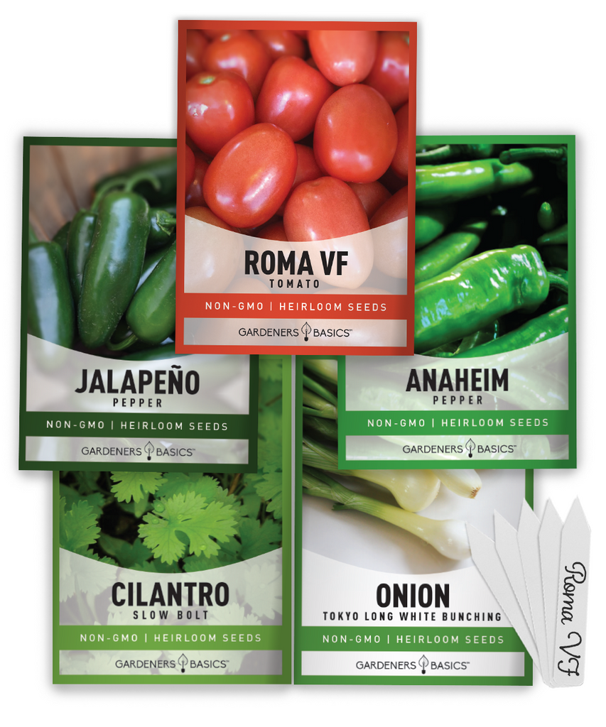 Salsa Seeds For Planting Variety Pack Non-GMO Seeds For Home Salsa Garden