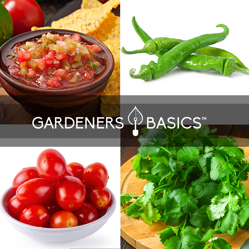 Salsa Seeds For Planting Variety Pack Non-GMO Seeds For Home Salsa Garden Vegetables