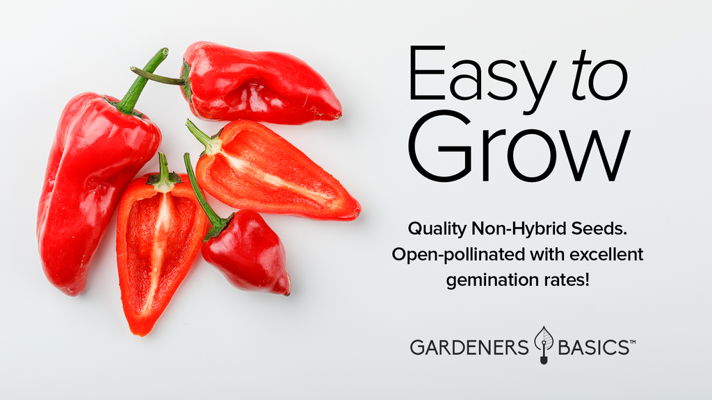 Serrano Pepper Seeds For Planting Non-GMO Seeds For Home Pepper Garden Vegetables Easy To Grow