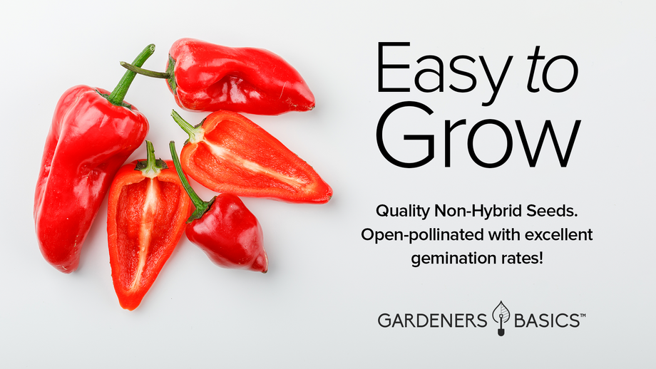 serrano pepper seeds to plant Serrano Pepper Seeds – Gardeners Basics