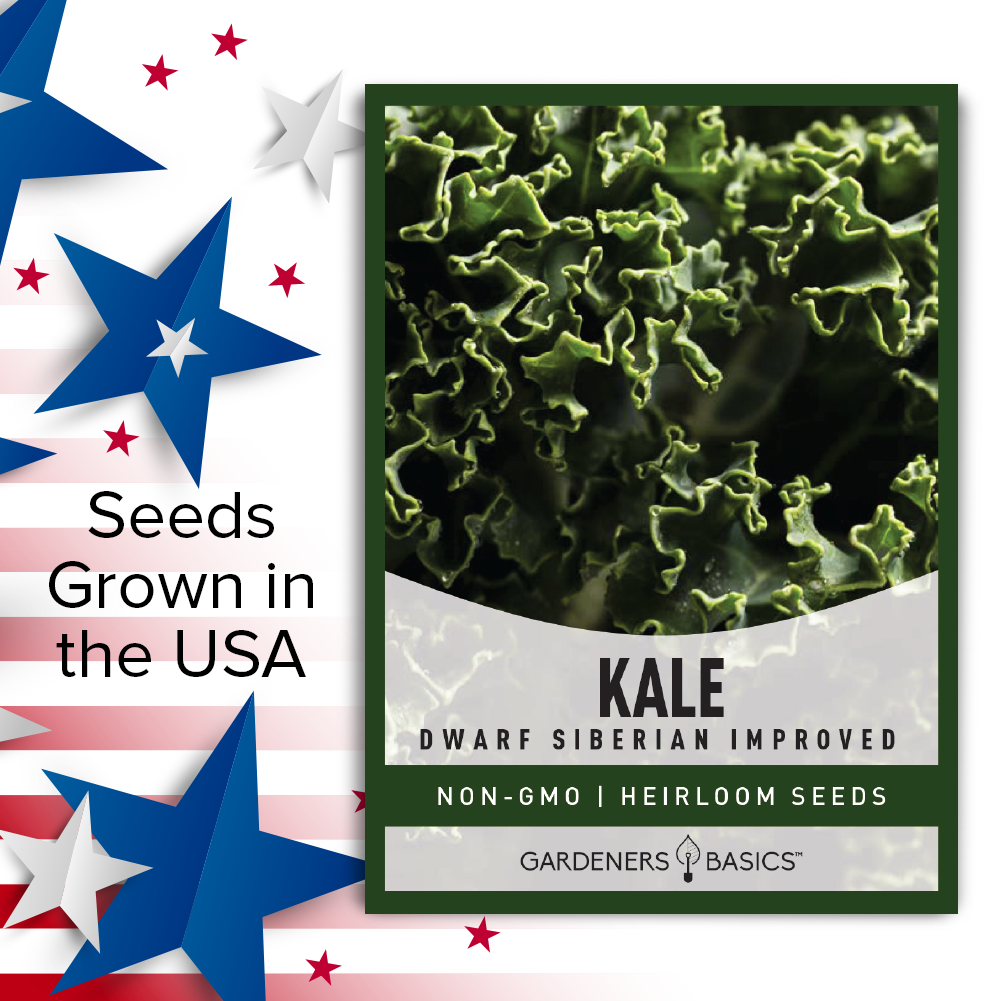 Compact and Flavorful: Dwarf Siberian Improved Kale Seeds for Planting
