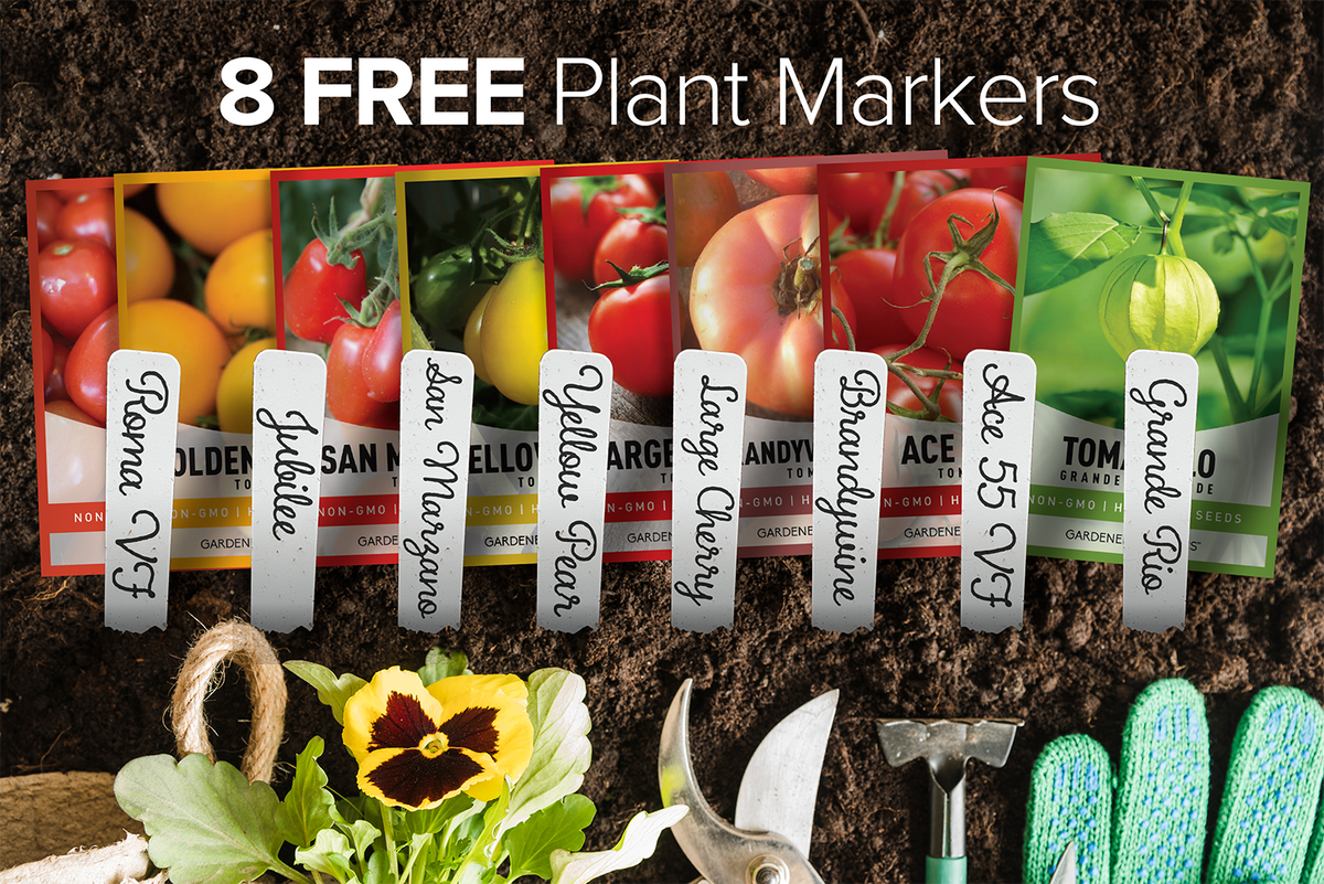 Tomato Seeds For Planting Variety Pack Non-GMO Seeds For Home Tomato Garden Free Plant Markers