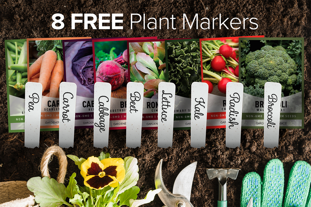 Top 8 Winter-Resistant Vegetable Seeds for a Healthy, Delicious Harvest