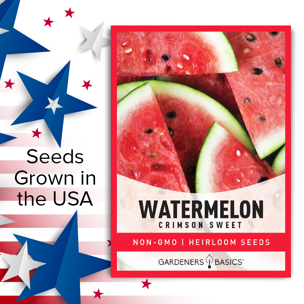 Crimson Sweet Watermelon Seeds For Planting Non-GMO Seeds For Home Fruit Garden USA