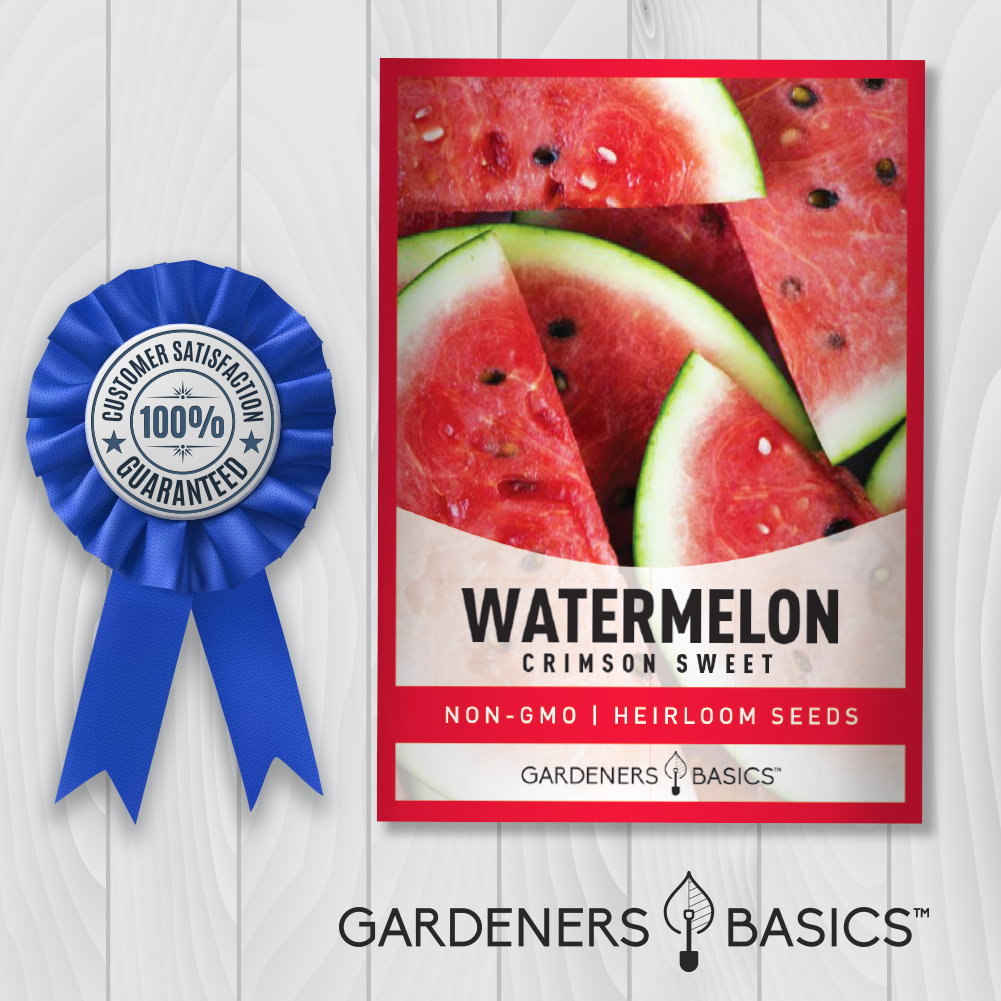 Crimson Sweet Watermelon Seeds For Planting Non-GMO Fruit Seeds For Home Garden